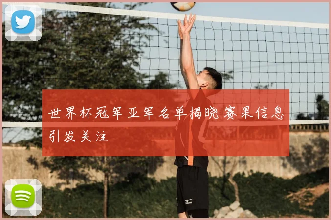 世界杯冠军亚军名单揭晓 赛果信息引发关注